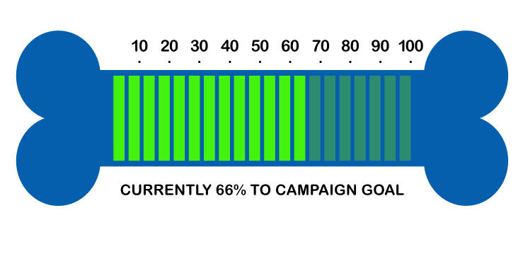 campaign goal graph graph showing campaign goal status
