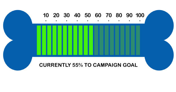 campaign goal graph graph showing campaign goal status