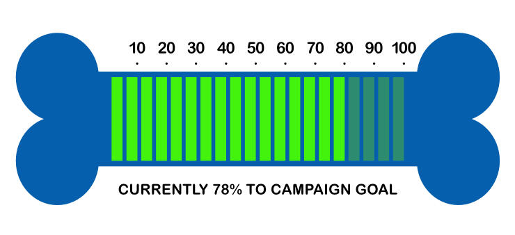 campaign goal graph graph showing campaign goal status