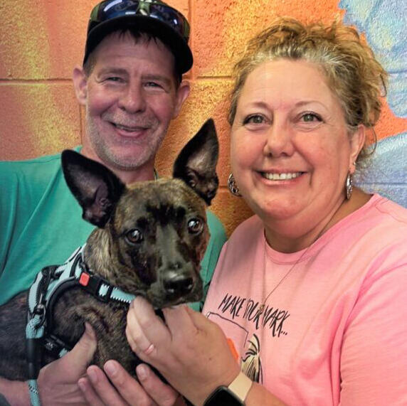 Dodger, adopted Dec. 2024 photo of Dodger and his new owner