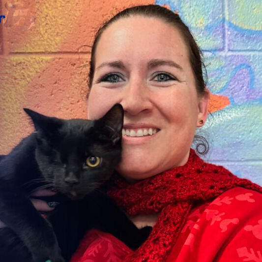 Corncob and new owner Corncob the cat and the new owner